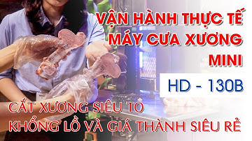 Máy cưa xương loại nhỏ - Máy cắt cá đông lạnh HD 130B NEW | Cơ khí Viễn Đông