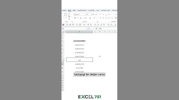 Excel