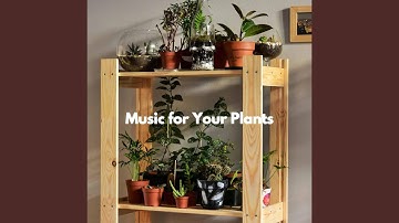 High Class Moods for Playing Flashbacks