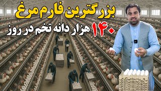 گزارش ویژه از بزرگترین فارم تخم مرغ در افغانستان ! The largest egg farm in Afghanistan