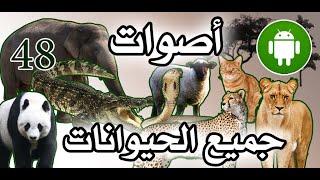 اصوات الحيوانات ? صور حيوانات | تعليم الاطفال النطق أغنية اصوات الحيوانات أصوات الحيوانات واسماءها