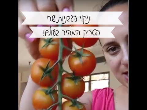 וִידֵאוֹ: איך אתה יכול להבדיל בין עגבניות נחרצות לבלתי מוגדרת?