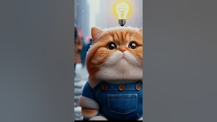 мем про котика и бургер