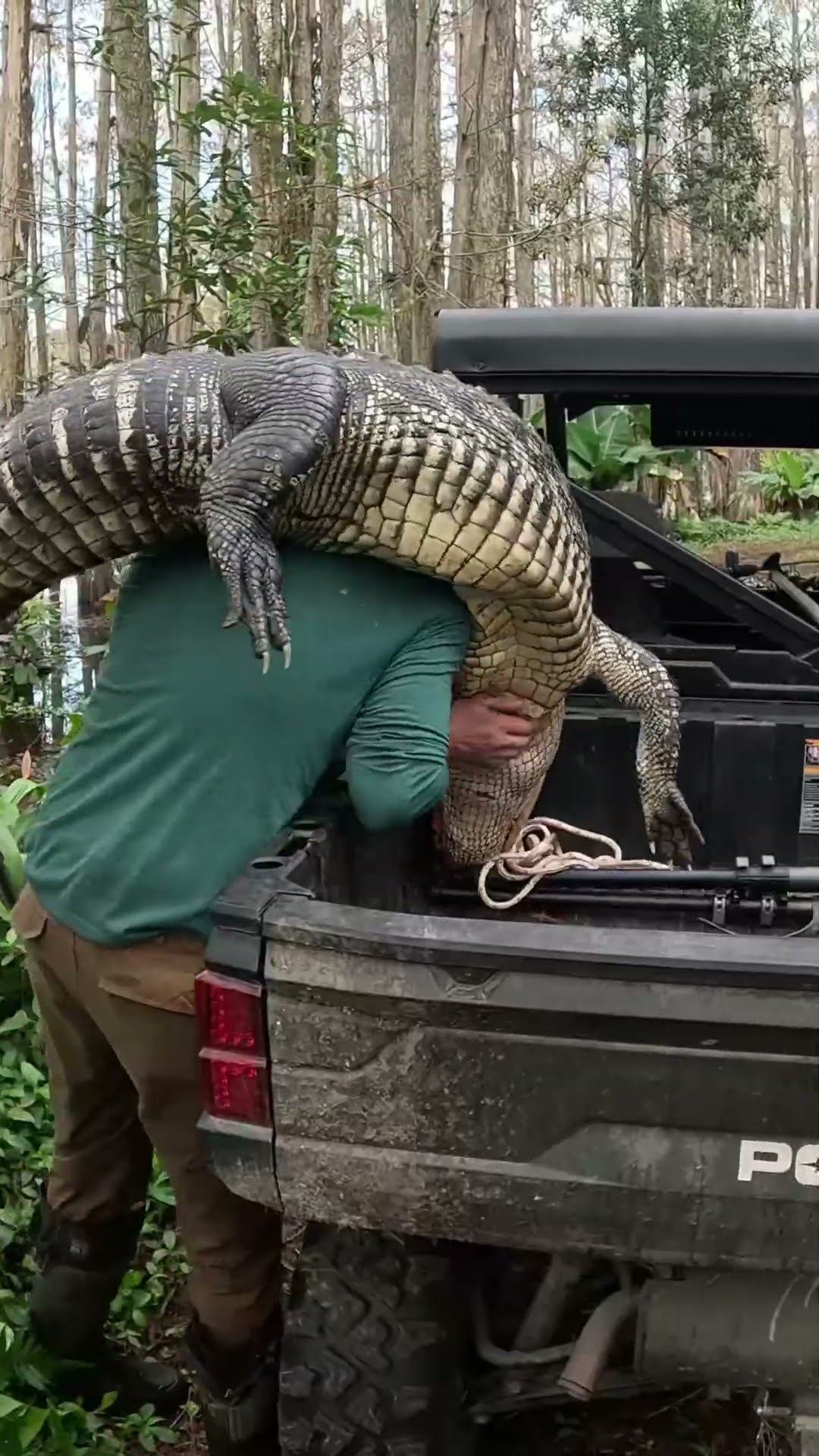14 Days Hunting, Fishing \u0026 Crabbing Florida    #hunting #fishing #florida #adventure