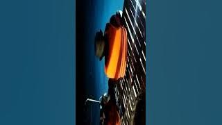 mancing centil ciletuh geopak sukabumi
