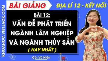 Địa lí 12 Bài 12: Vấn đề phát triển ngành lâm nghiệp và ngành thuỷ sản | Kết nối tri thức (HAY NHẤT)