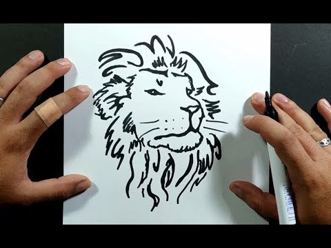Como dibujar un leon paso a paso 7 | How to draw a lion 7 - YouTube