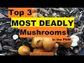 Top 3 deadliest mushrooms in the pnw