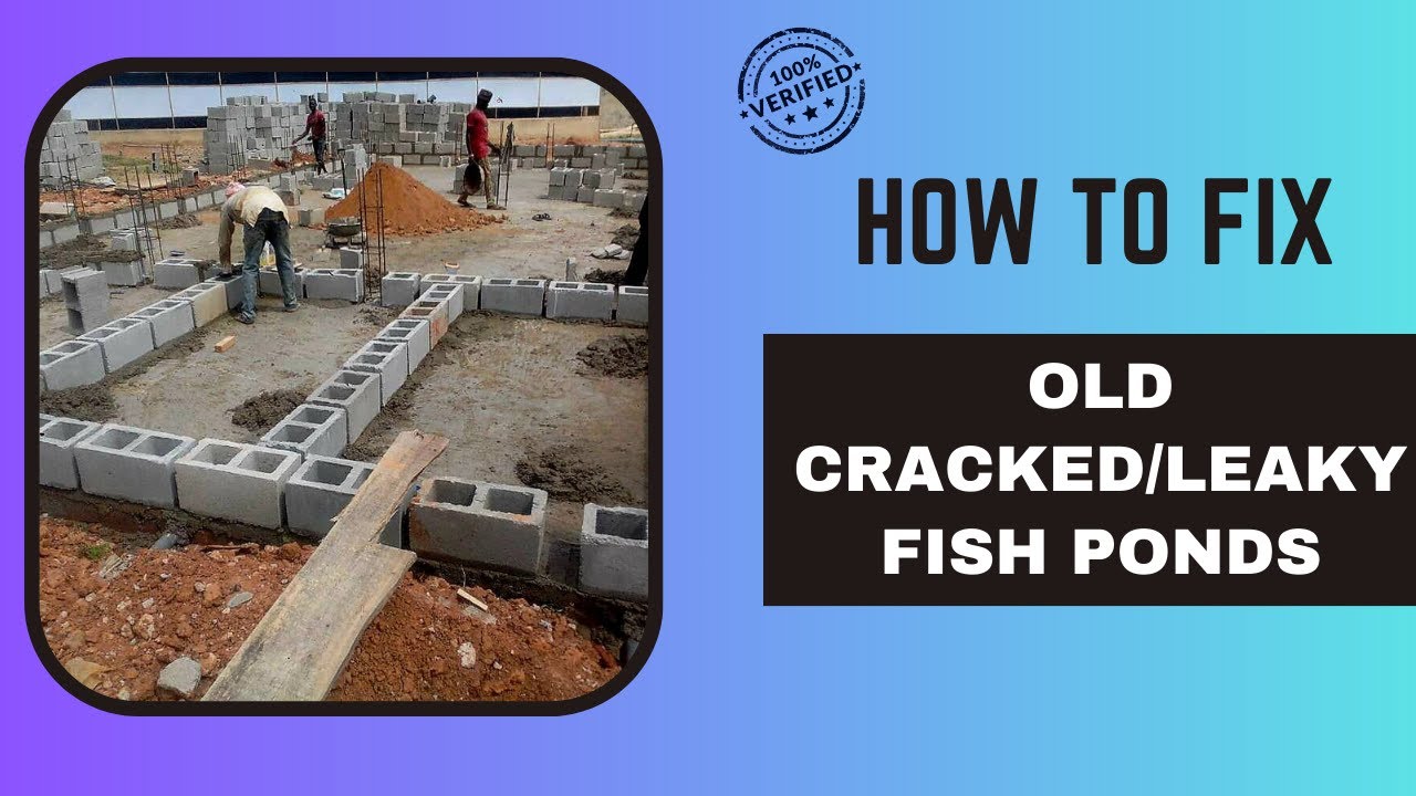 CATFISH FARM RECONSTRUCTION UPGRADE YouTube