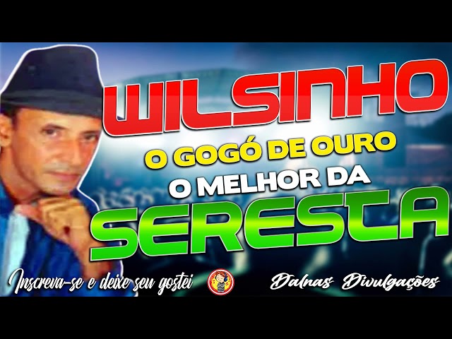 Wilsinho o Gogó de ouro - O Melhor da Seresta class=