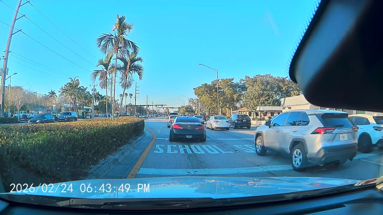Only in Florida: The Most Unreal Highway Moment Ever Recorded