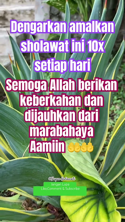 Listen to this prayer 10 times, may Allah grant blessings and keep you away from harm #shorts