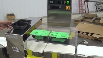 M2121 Anritsu SSV Combination Checkweigher Metal Detector