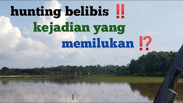 HUNTING/BERBURU BELIBIS ‼️ YANG MEMILUKAN ⁉️
