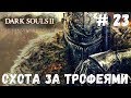 Dark Souls 2 SotFS: НГ+, НГ++ и ПЛАТИНА!