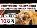 【特別定額給付金 再給付・菅政権 支持率 政権擁護】麻生太郎 VS 岸田文雄 前政調会長「財政出動 必要」【世論調査・フジ FNN 産経新聞】一律給付 家計支援策