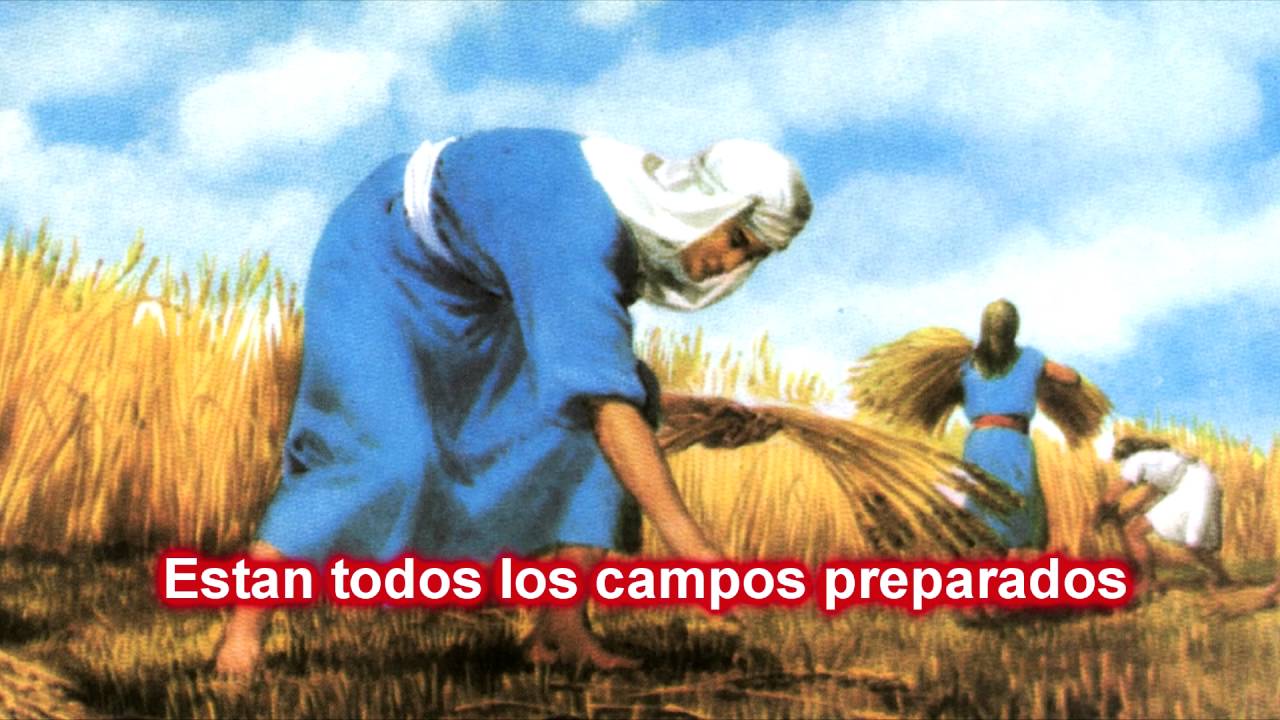 La hora de la siega ha llegado YouTube