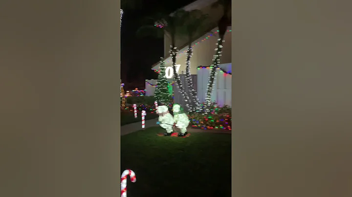 Fucciles Christmas Wonderland 2019