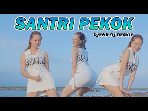 Ajeng DJ Gemoy - Santri Pekok (DJ Version)  | Remix Full Bass