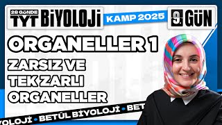 9 Zarsız Ve Tek Zarlı Organeller 2025 Tyt Biyoloji Kampı 9. Video