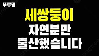 세쌍둥이 자연분만 리얼 과정 영상ㅣ삼둥이 유도분만 성공ㅣ이대목동병원 산부인과 출산 후기ㅣ초산모ㅣ모유수유 모자동실ㅣ저출산ㅣ애국자ㅣ전종관ㅣ시험관 임신 성공ㅣ임산부 브이로그ㅣVLOG