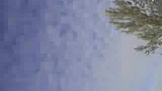 Sledding Toe Crash
