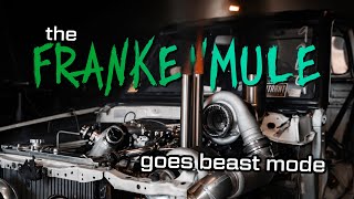 THE FRANKENMULE takes on the dyno!