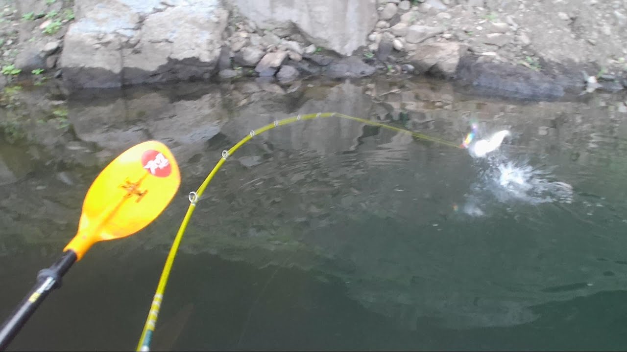 タムタム Bass Fishing vol31　遠征から癒しのダム
