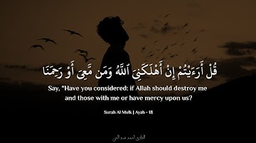 تلاوة هادئة للقارئ | أحمد عبد الحي