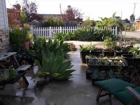 Simple Front Yard Landscaping Ideas Pictures - YouTube