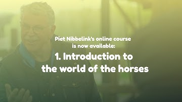 Trailer / Online course: Introduction to the world of the horse