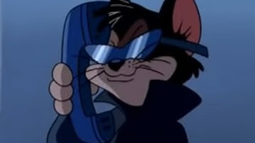 Tom and Jerry: Chase Butch