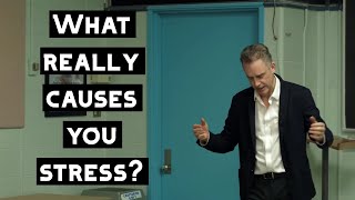 What Really is the Cause of Your Stress? | Jordan Peterson