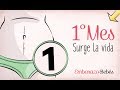 MES 1 | Primer mes de #embarazo | Semana a semana