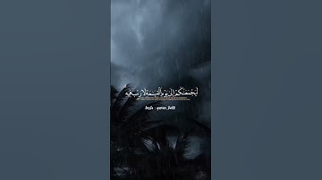 الله لاإله إلا هو #ياسر_الدوسري #تلاوات_خاشعة #تلاوة_مميزة #quran #ترند #تيكتوك #الحرم_المكي #اكسبلو
