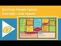A BMC example: Little Moons - sustainability masters