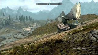 Skyrim - Brake dancing dragon