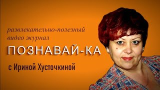 Грибы Съедобные И Не Съедобные