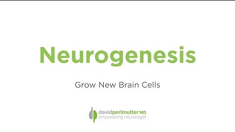 Neurogenesis - Grow New Brain Cells With Exercise