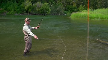 Roll Casting Tips - Point P