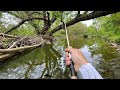 Trout fishing with swimbaits creek fishing
