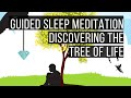 Discovering The Tree Of Life 😴 LONG SLEEP STORY FOR GROWNUPS 💤 Reduce Stress, Anxiety & Worry