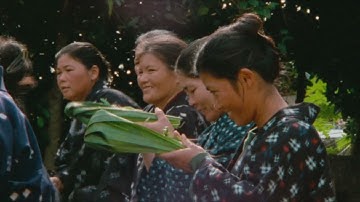 映画『沖縄久高島のイラブー』オープニング250秒