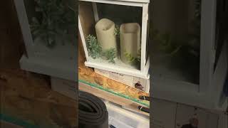 DIY Cooling Hack: Stop Your AC Fighting Itself! #shorts