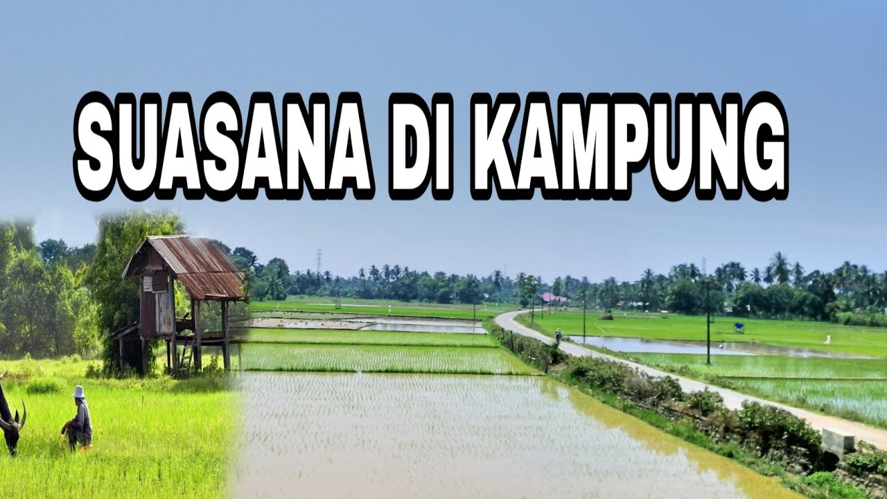 suasana di kampung YouTube