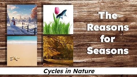 CKLA Grade 2 Domain 6 Lesson 2 The Reasons for Seasons