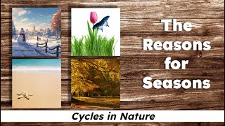 CKLA Grade 2 Domain 6 Lesson 2 The Reasons for Seasons