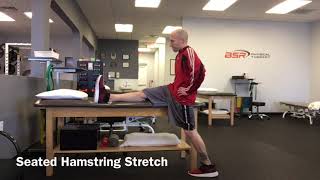 Seated Hamstring Stretch