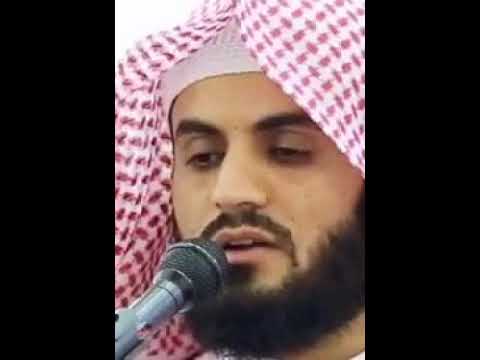 الشیخ رعد محمد الکردی شارٹ وڈیوز تلاوت قران رعدالکردی قرأت عراق الکردستان 1