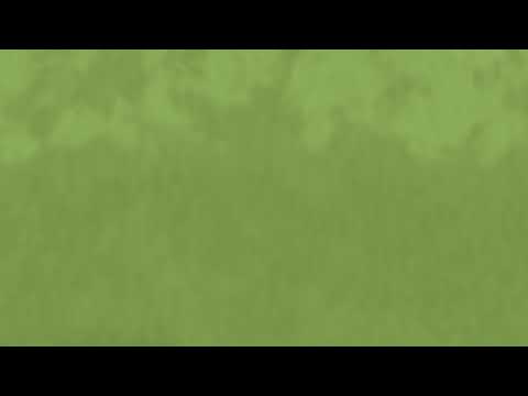 PepoG Live Stream